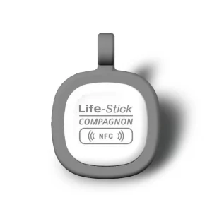 LifeStick ® COMPAGNON – gris